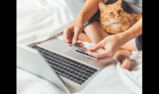 Woman looks at laptop with her cat and credit card